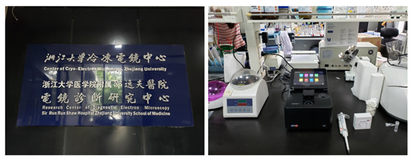 1649298182261720.jpg 640 (2).jpg