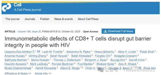 1766925239215535.png image.png